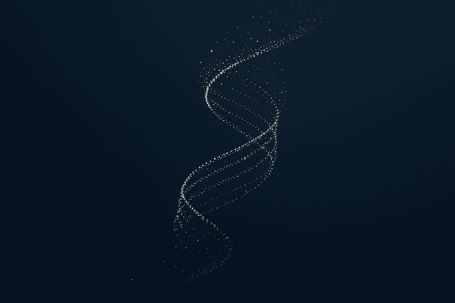 Noesis Capital Approach